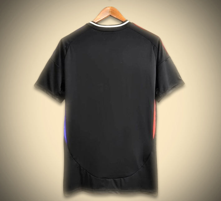 maillotOLEXTERIEURDOS.jpg Olympique Lyonnais Away 2024-2025 soccer jersey back view