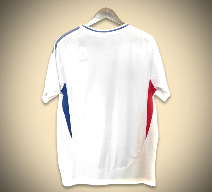 Olympique Lyonnais Home 2024-2025 soccer jersey back view