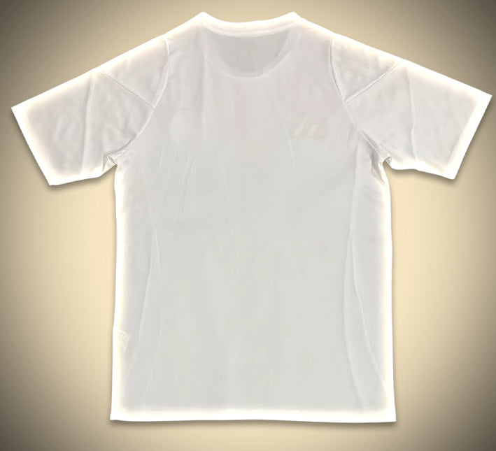 Concept soccer jersey Algeria white 2425 edition for supporters
