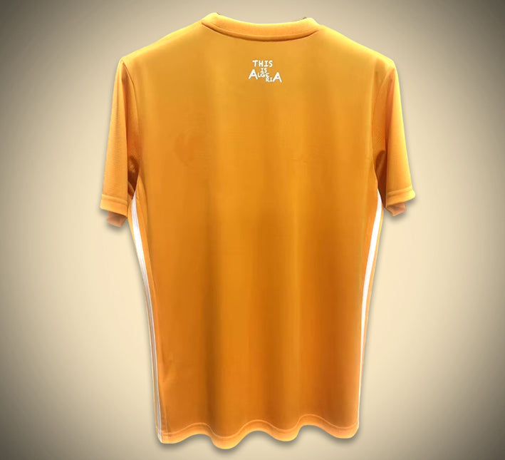 Concept jersey Algeria orange edition 2024 2025 season soccer kit