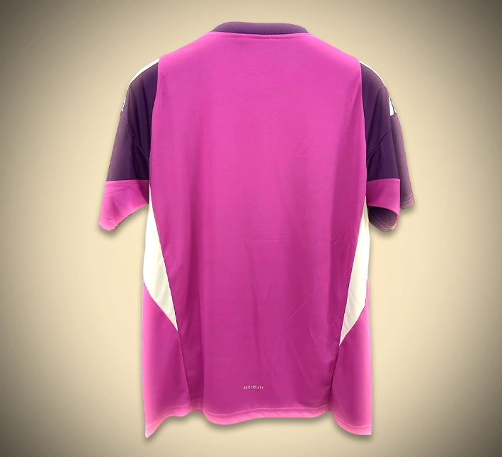 Concept jersey Algeria PurplePink edition 2526 season soccer kit