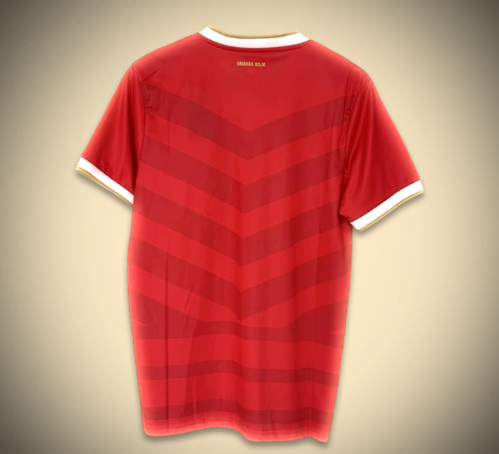 Panama Home Soccer Jersey 2024 back view