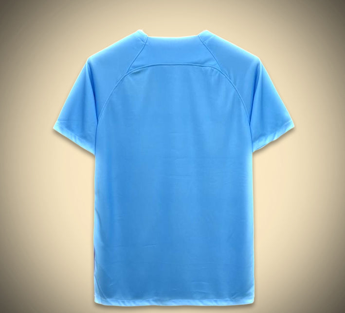 Concept Jerseys Netherlands blue edition 2024 soccer jersey
