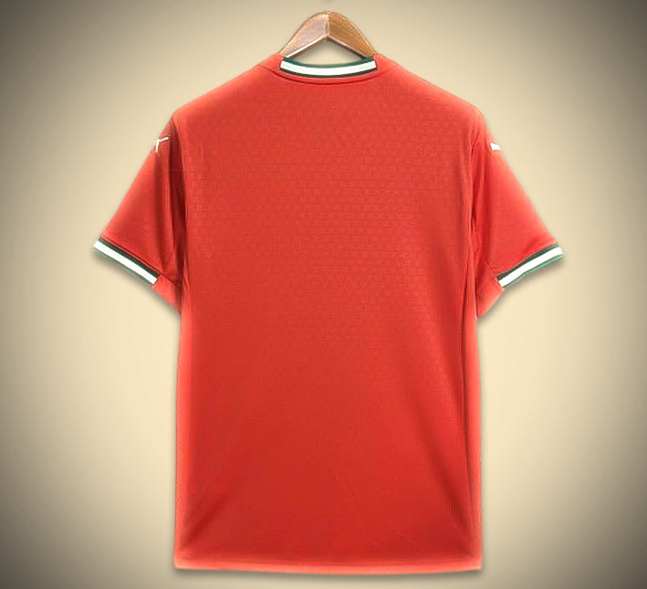 Portugal concept edition soccer jersey home season 2425