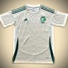 Saudi Arabia Away Jersey 2024-2025 front view