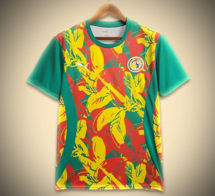 Senegal Pre-Match Soccer Jersey 2024 front view