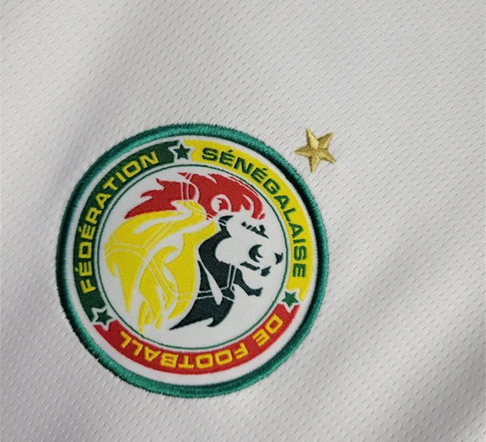 Senegal Home Soccer Jersey 2024 side view