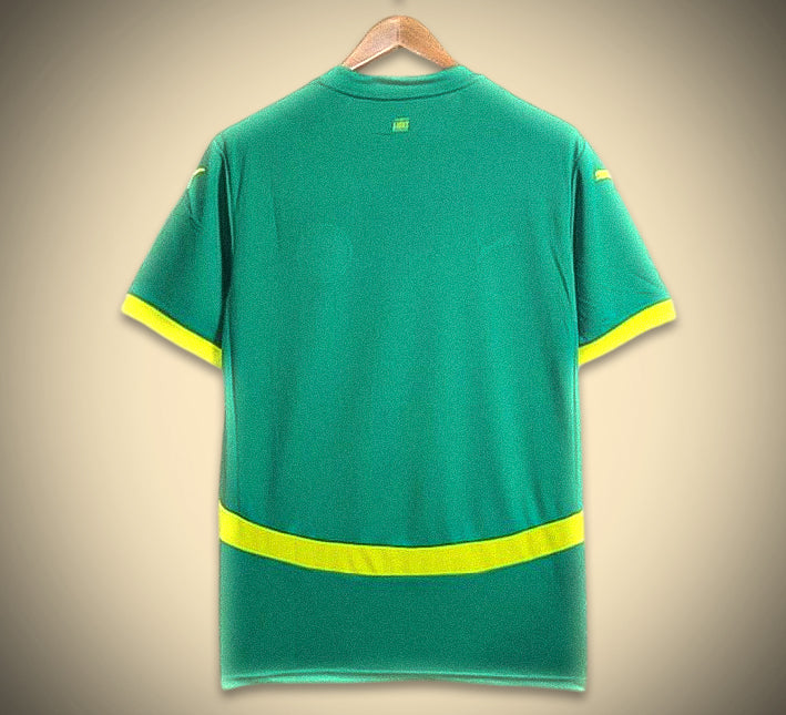 Senegal Away Soccer Jersey 2024 back view