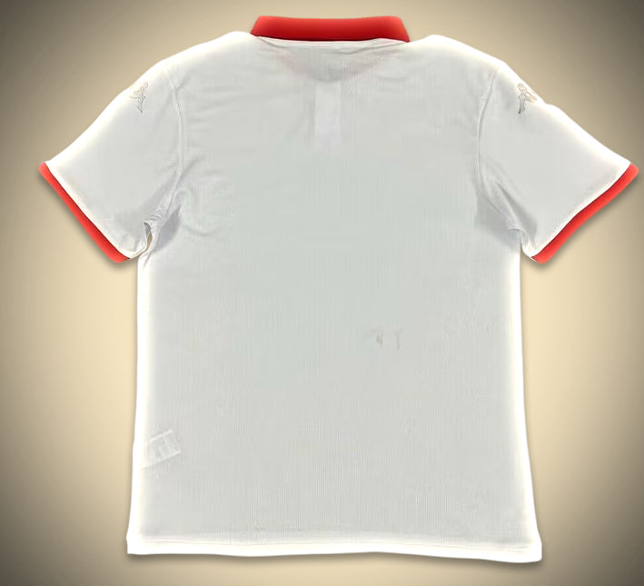 Tunisia Away Jersey 2024-2025 side view