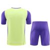 Real Madrid training set 2023-2024 season jersey and shorts