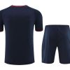 Official FC Barcelona jersey and shorts set 2024 2025 season