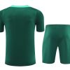 ensemble-maillot-et-short-portugal-saison-2024-2025-tenue-de-football Portugal jersey and shorts set 2024 2025 season soccer kit