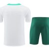 Portugal jersey and shorts set 2024 2025 season soccer kit