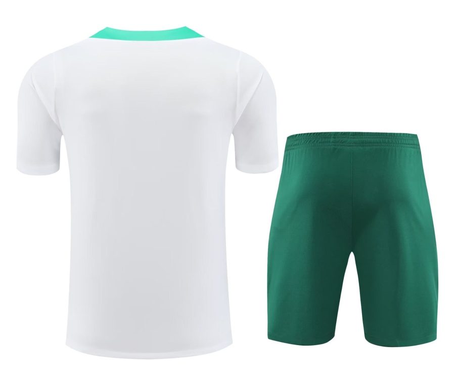 Portugal jersey and shorts set 2024 2025 season soccer kit
