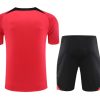 PSG pink training set season two thousand twenty three two thousand twenty four