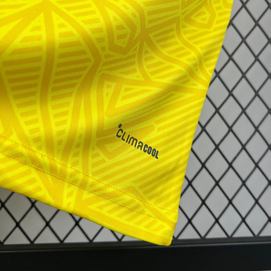 Ukraine home jersey 2026 blue and yellow for supporter