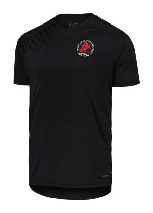 ASTON VILLA ANNIVERSARY JERSEY 20242025
