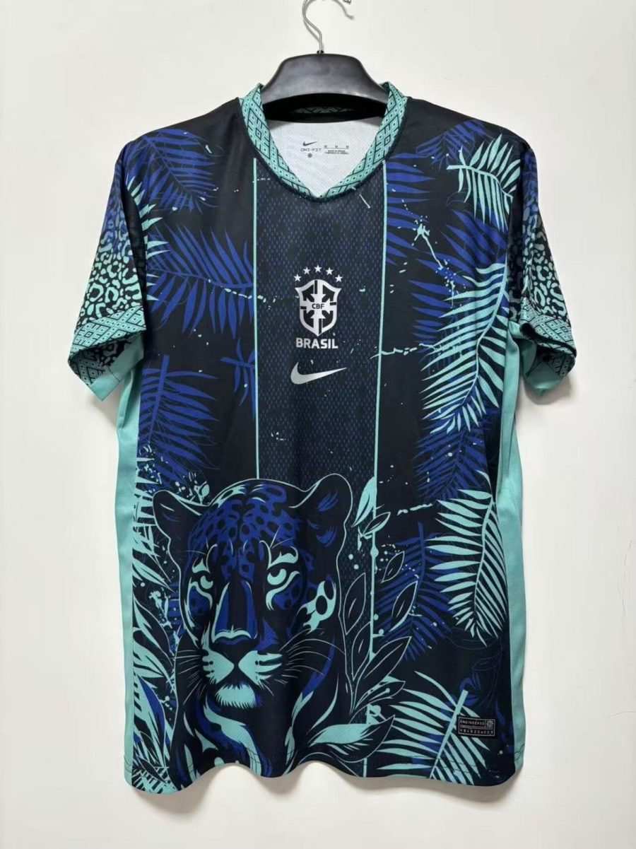 BRAZIL CONCEPT SPECIAL JERSEY 20252026