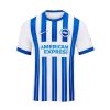 BRIGHTON HOME JERSEY 2024 2025