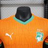 Ivory Coast soccer jersey home season 2025 official kit of the Elephants