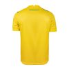FC Nantes Home Jersey 2024-2025 Official Yellow and Green Kit