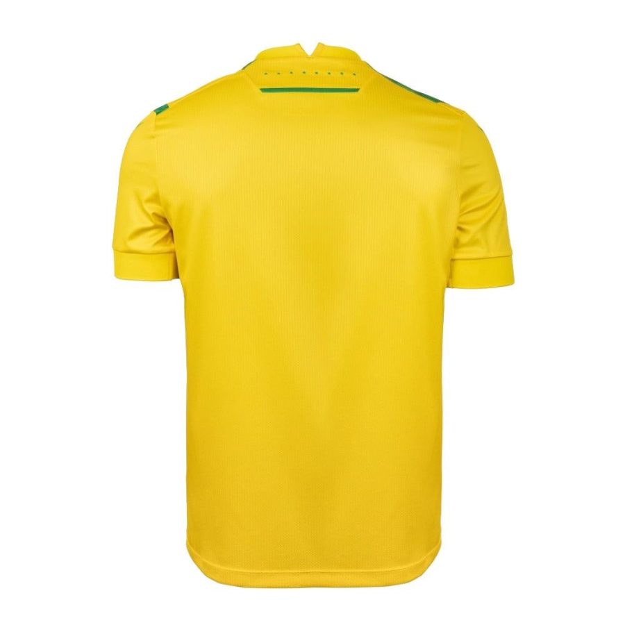 FC Nantes Home Jersey 2024-2025 Official Yellow and Green Kit