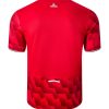 maillot-domicile-lille-losc-saison-2025-2026-tenue-officielle-supporters Lille LOSC home jersey 2025 2026 official supporters kit