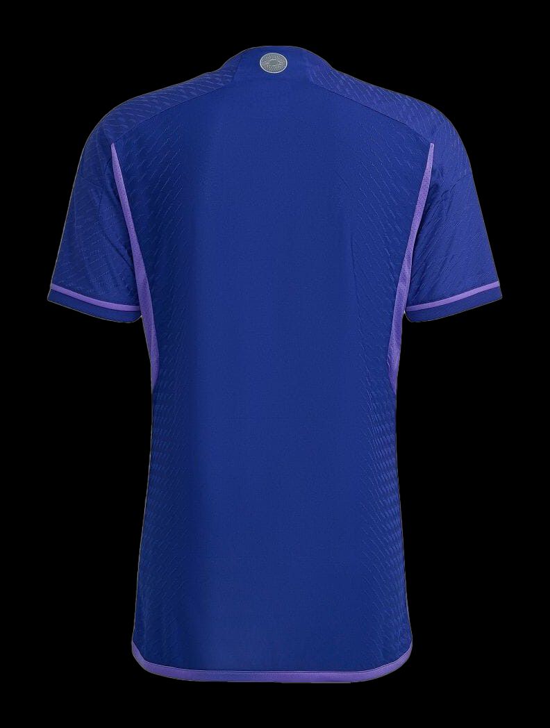 Argentina away jersey World Cup 2022 adidas soccer jersey