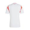 Chile Away Soccer Jersey 2024 Season Red and Blue to Support the Chilean National Team