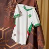 Morocco National Team Away Jersey 2024 2025 Season Red and Green