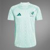 MEXICO AWAY JERSEY 2024