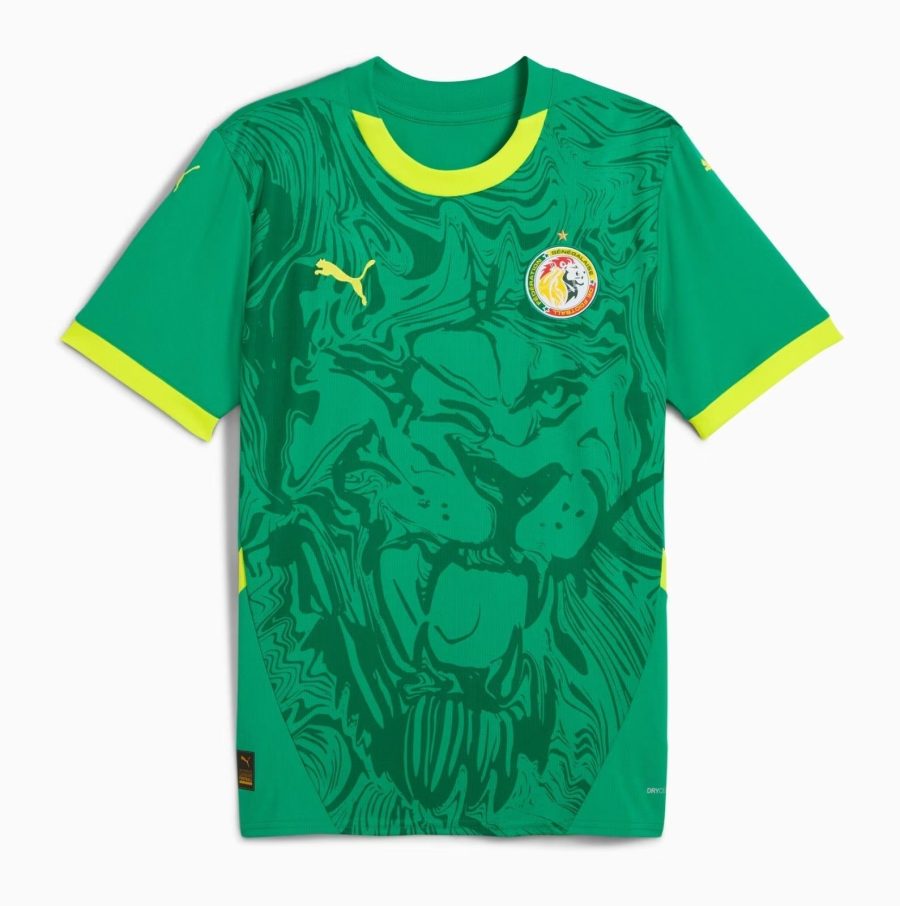 SENEGAL AWAY JERSEY 20242025