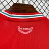 Wales supporter jersey 2026 for home matches
