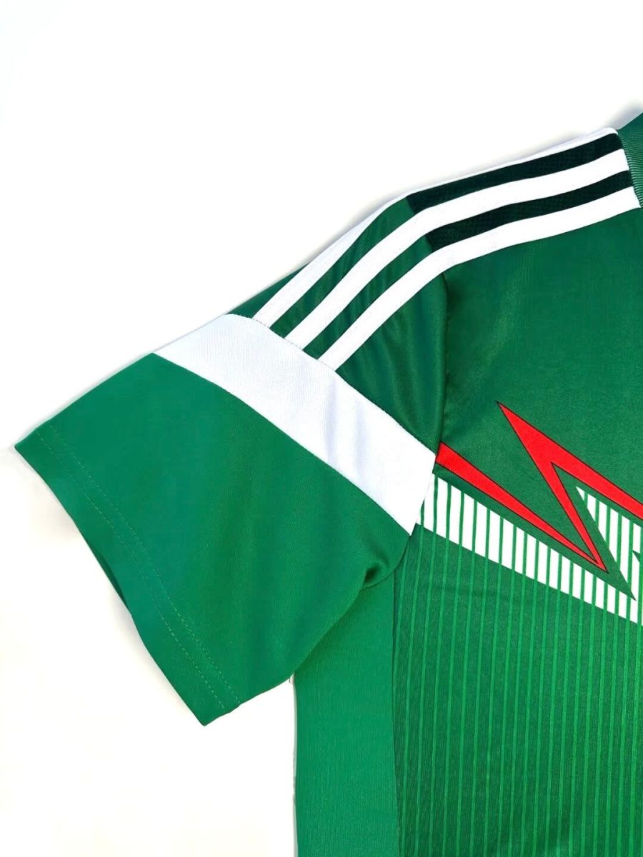 Mexican national team supporter jersey 2014 edition