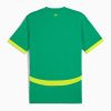 Senegal away soccer kit Lions of Teranga jersey white green red