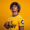 tenue-de-football-wolverhampton-domicile-pour-supporter-collection-2024-2025 Wolverhampton home soccer jersey for supporter collection 2024 2025