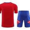 tenue-entrainement-bayern-munich-rouge-et-bleu-saison-2023-2024 Bayern Munich red and blue training kit 2023 2024 season