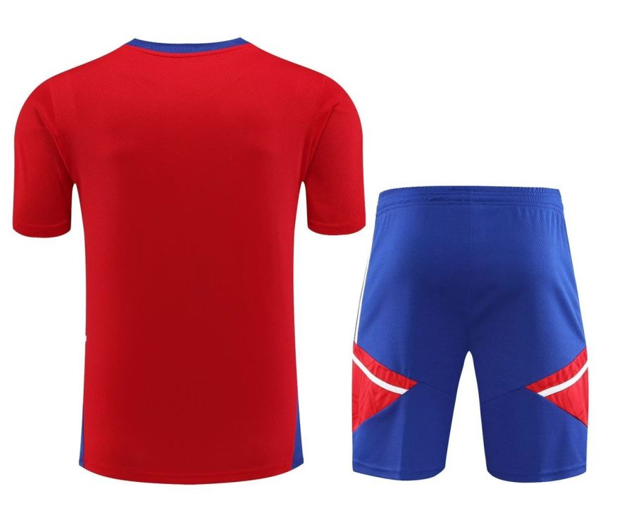 tenue-entrainement-bayern-munich-rouge-et-bleu-saison-2023-2024 Bayern Munich red and blue training kit 2023 2024 season
