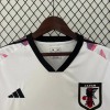 Japan Concept Zoro One Piece 2023/24 Jersey