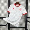 Tunisia Away World Cup 2026 Jersey