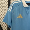 117741c4132a92791caf828d41fafe3f.jpg Belgium Away Soccer Jersey 2024 2025