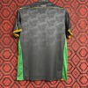 Venezia Home Jersey 24/25 Special