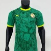 Senegal Away Green Jersey AFCON 2025-26
