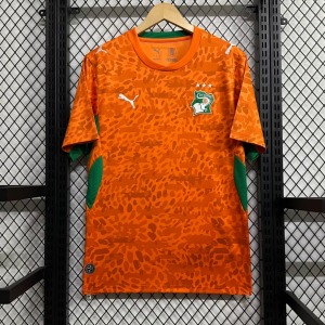 Ivory Coast 2025/26 Special Edition Soccer Jersey