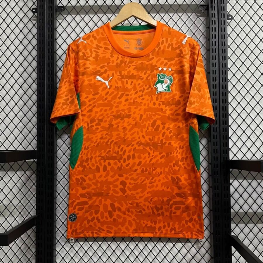 1b9f465dcfe822daeeaa35d7dda32214.jpg Ivory Coast 2025/26 Special Edition Soccer Jersey