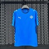 1e6be0e965e4139934222af23b2fb359.jpg Iceland Home 2025/26 Jersey