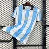 256bd5d7d8aae317d3787ab76773729d.jpg Argentina Concept Jersey 2025 2026
