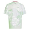 25af1ebd1a51.jpg Italy Away Soccer Jersey EURO 2025