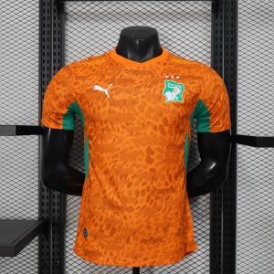 Ivory Coast 2025/26 Player Soccer Jersey