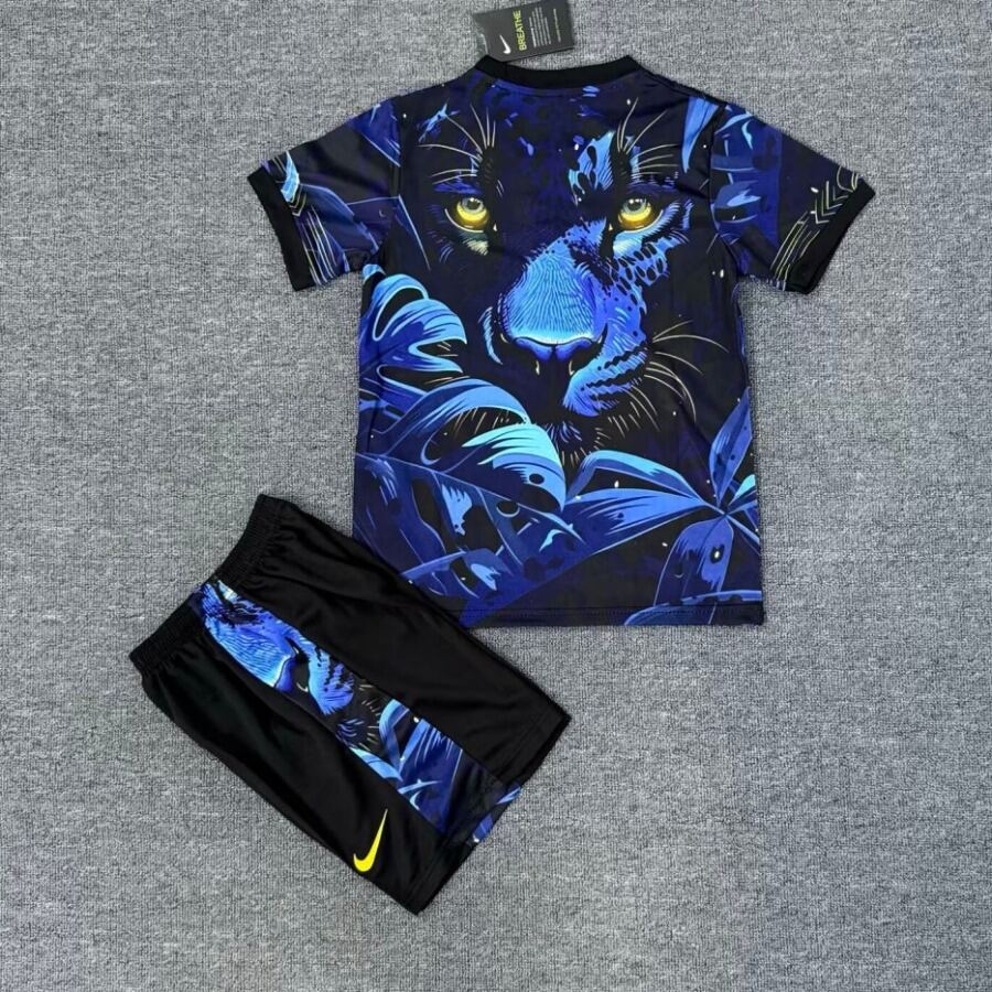 Brazil 2025/26 Youth Special Blue Soccer Jersey